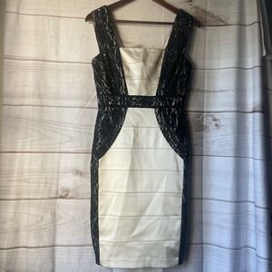 Jax Cocktail Dress Stretch Ivory & Black Lace Sequins Bodycon Size 4